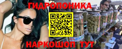 spice Тара