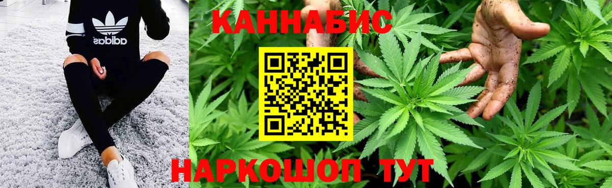 Бошки марихуана марихуана  Вход с VPN  МАРИХУАНА OG Kush  Бошки марихуана OG Kush  Ленинск-Кузнецкий  Марихуана семена 